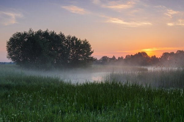 Тамбов природа