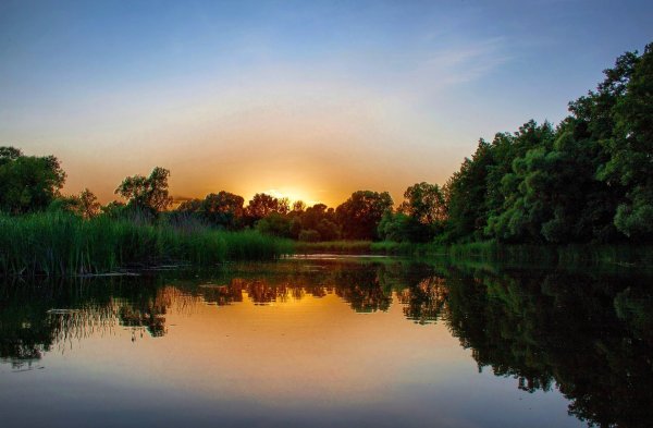 Природный заповедник Воронинский Тамбовская область
