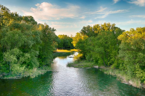 Река Цна Рязанская область