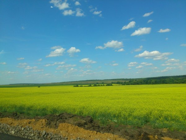 Тамбов природа