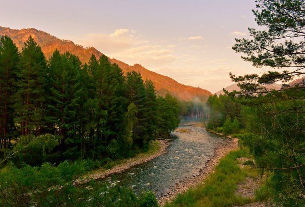 Река Аламбай Алтайский