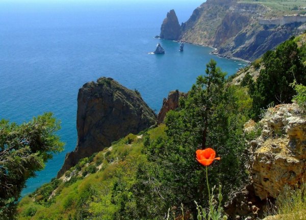 Форос мыс Фиолент