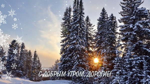 Доброго зимнего дня природа