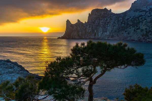 Судак новый свет Крым