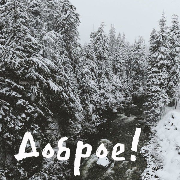 Доброе морозное утро