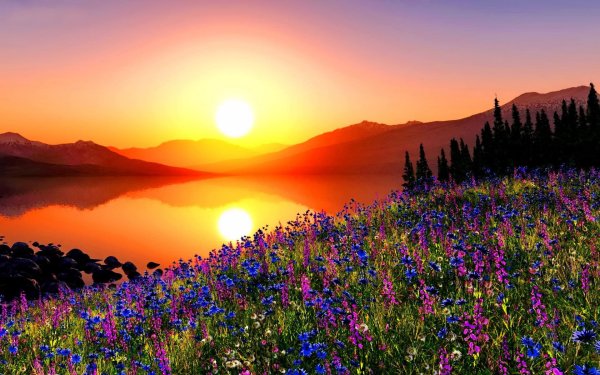 Яркая природа