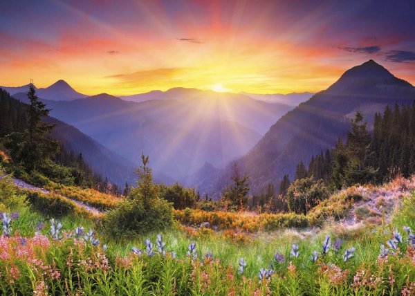 Пейзажи природы