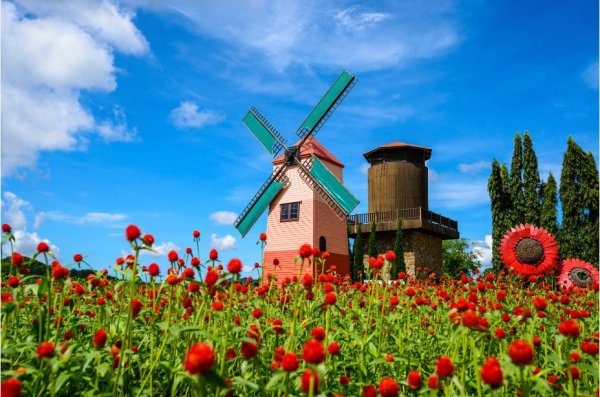 Мельница и цветы