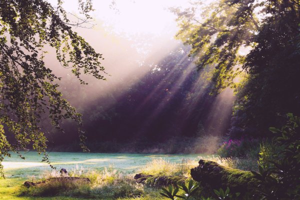 Вдохновляющая природа