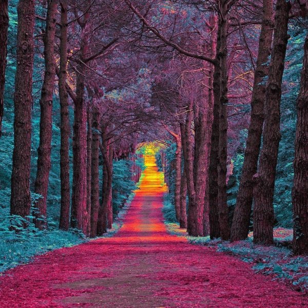 Пейзаж Вдохновение