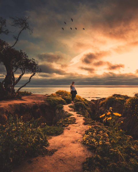 Alec Basanec фотограф