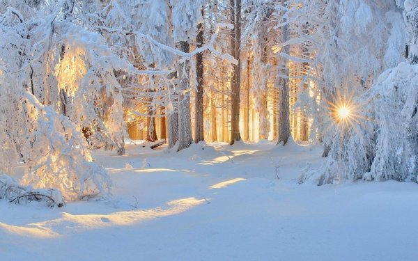 Федор Тютчев Чародейкою зимой