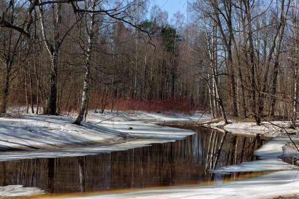 Весенний пейзаж март
