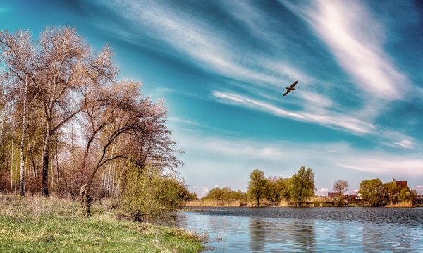 Ранняя Весна