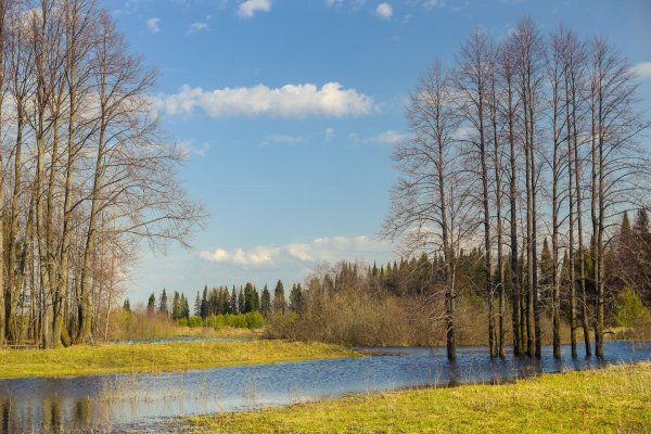 Весенний пейзаж