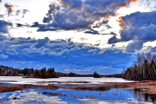 Весна природа