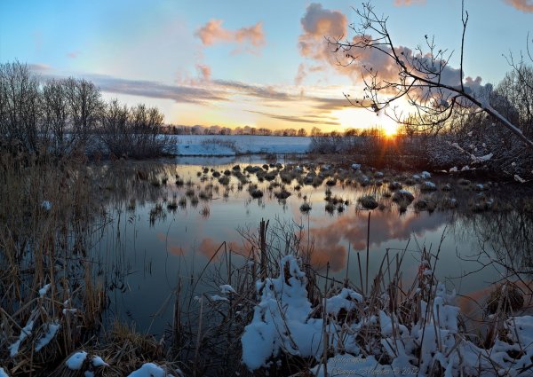 Весенняя природа