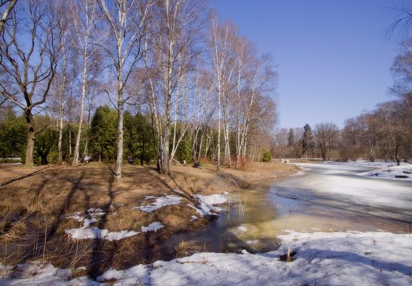 Весенняя природа