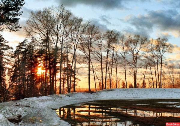 Весна пейзаж