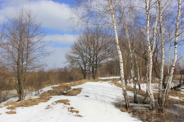 Ранняя Весна в Сибири