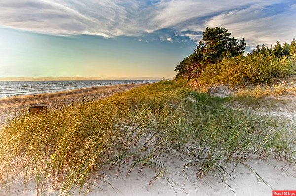 Янтарный Куршская коса