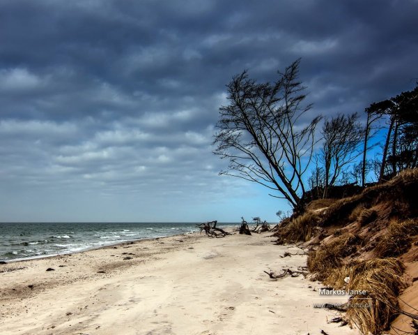 Дикие пляжи на Балтике