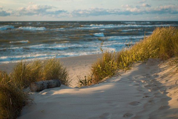 Балтийское море Калининград дюны