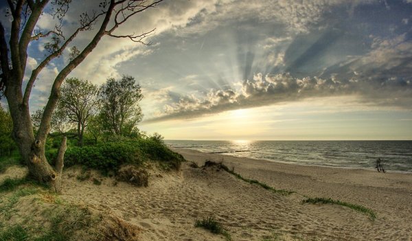 Куршская коса Калининград живопись