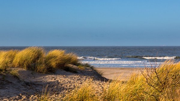 Прибалтика дюны Балтийское море