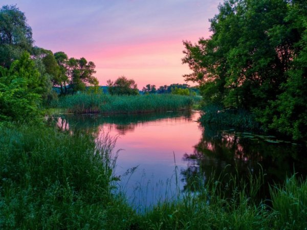 Природа Белгородской области река Псел