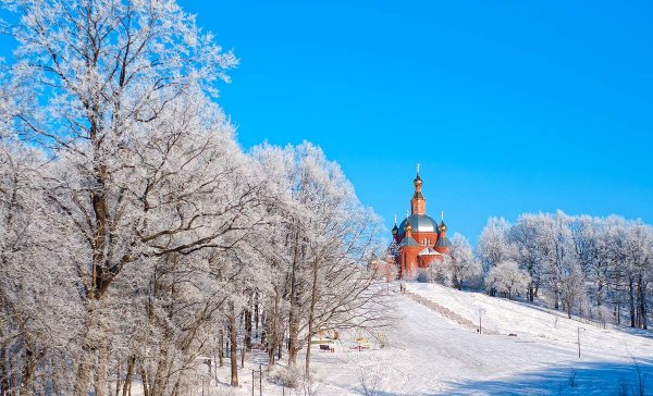 Дубовое Белгород зимой