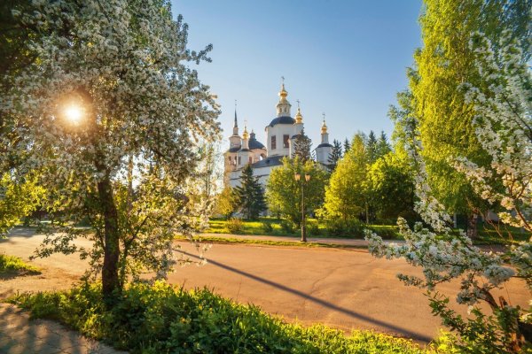 Великий Устюг природа летом