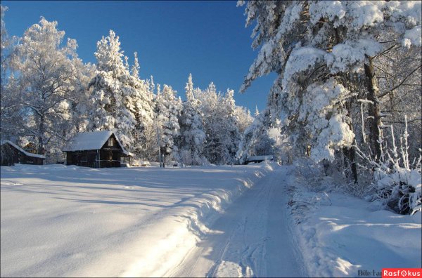 Великий Устюг природа зимой