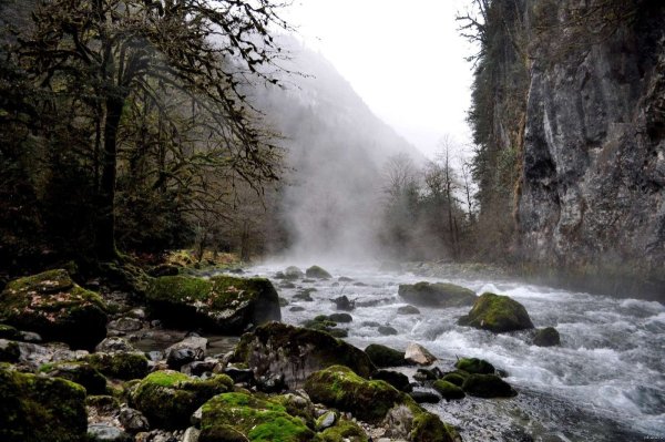 Бзыбское ущелье Абхазия