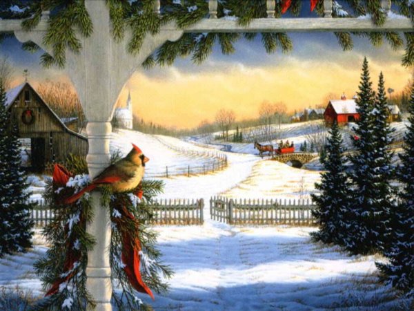 Зима в саду