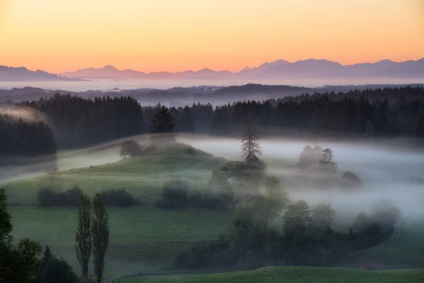 Природа туман