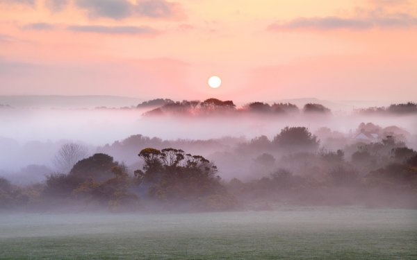 Красивый туман