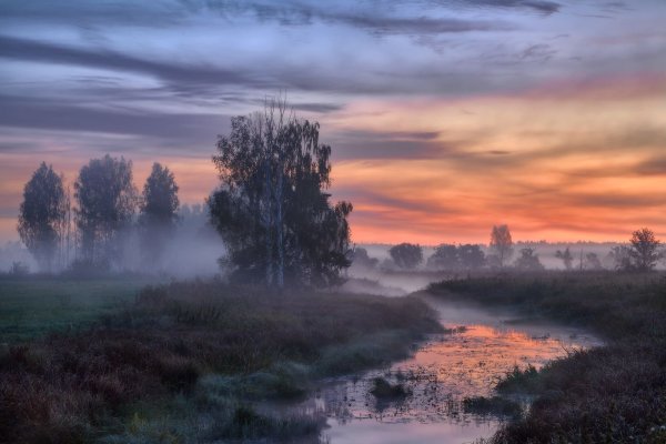 Туманный пейзаж