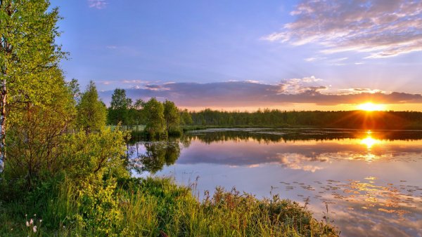 Лесное озеро Архангельская область Озерный край