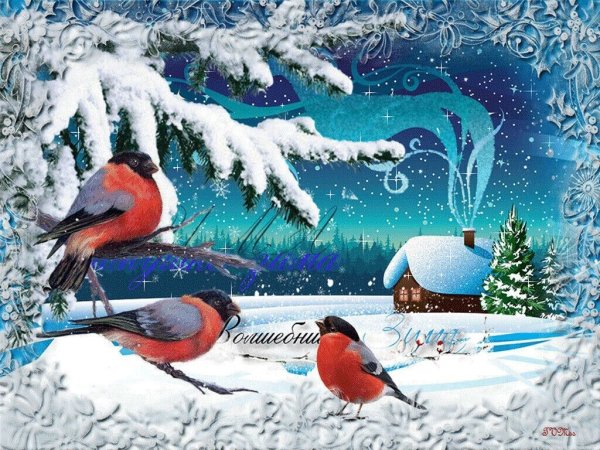 Снегири в зимнем лесу