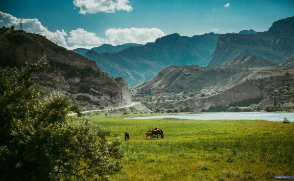 Гора Гутон Дагестан