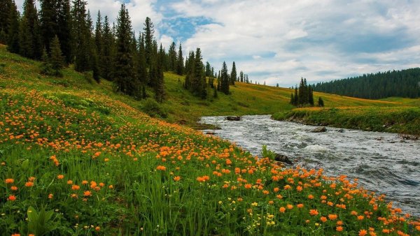 Река Оя Ермаковский район