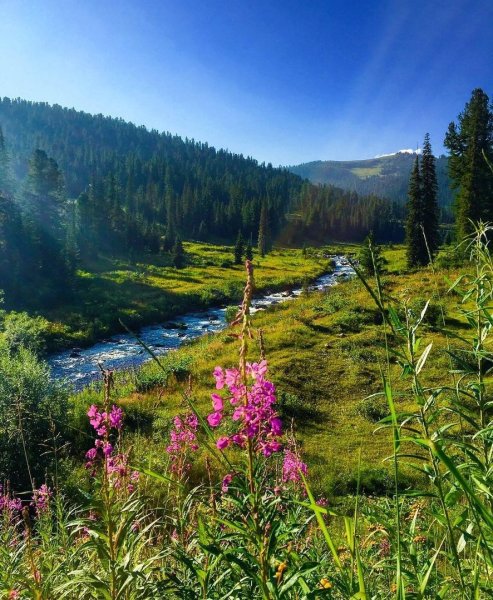 Ергаки озеро Красноярский край