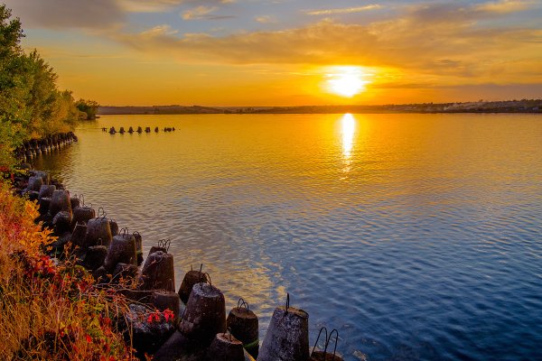 Волга Ульяновск природа