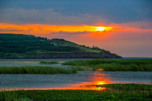 Природа Ульяновской области Волга