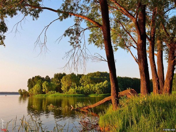 Берег реки Волга Ульяновска