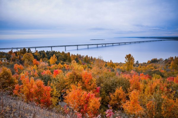 Природа Ульяновской области Волга