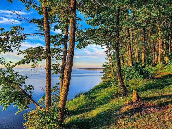 Волга Ульяновск природа