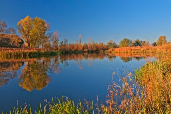 Ульяновская область природа Ульяновская область природа