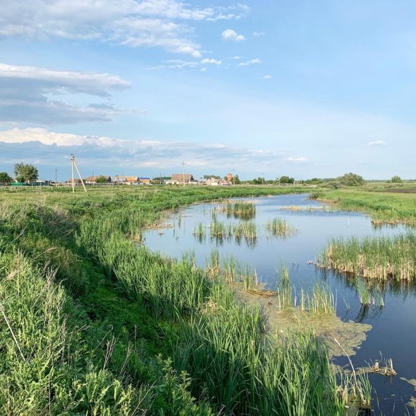 Природа Ульяновской области